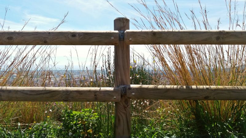 Wood Fence
